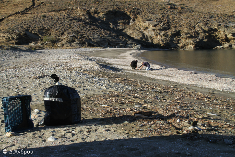 Initiation of sampling for microplastics and of beach cleanings