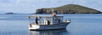 First field visit for the Mediterranean Monk Seal