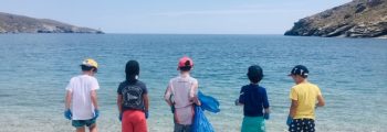 Beach cleaning on Andros